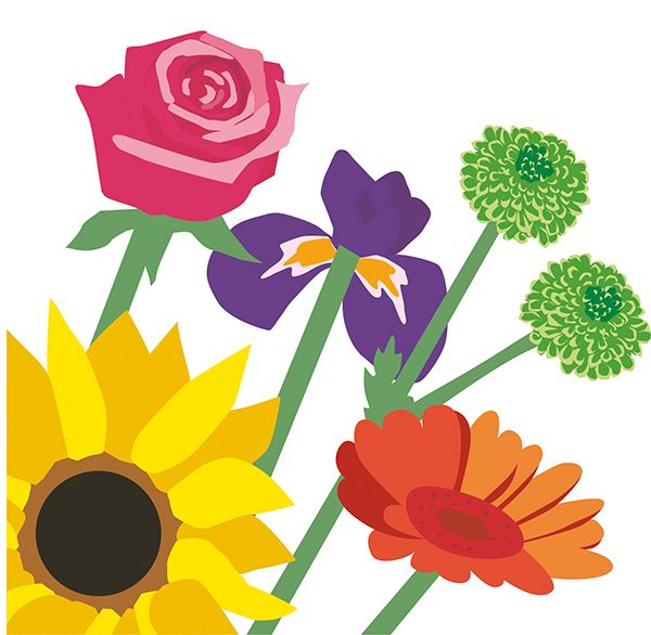 Flower Bouquets: Bouquet 7 (Pop-Up)
